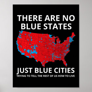 Es gibt keine blauen Staaten nur Wahlen in den bla Poster