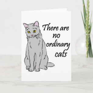 Es gibt keine gewöhnlichen Katzen Karte