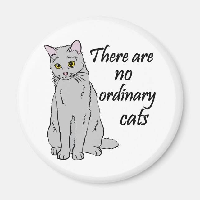 Es gibt keine gewöhnlichen Katzen Magnet (Vorne)