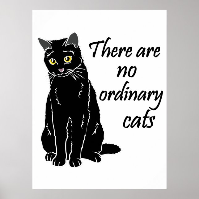 Es gibt keine gewöhnlichen Katzen Poster (Vorne)
