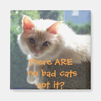 Es gibt keine schlechten Katzen.. Got? Magnet