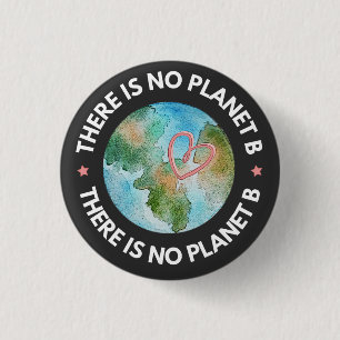 Es gibt keinen grünen Planeten B Button