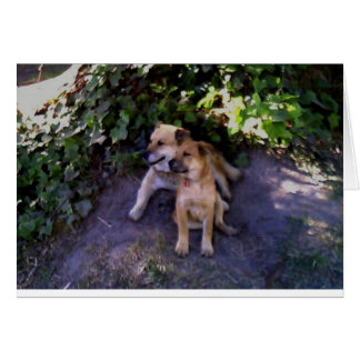 Es gibt keinen Ort, an dem ich lieber wäre