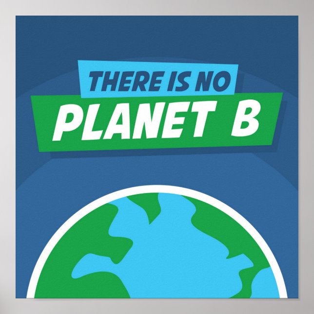 Es gibt keinen Planeten B Poster (Vorne)