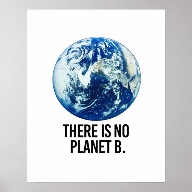 Es gibt keinen Planeten B Poster (Vorne)