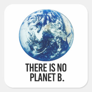 Es gibt keinen Planeten B Quadratischer Aufkleber