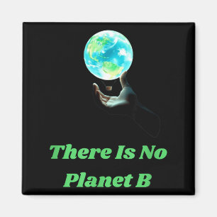 Es gibt keinen Planeten B - Rette die Erde Umweltb Magnet