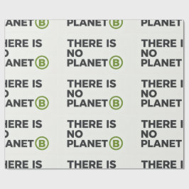 Es gibt keinen Planeten B Umweltschützer Geschenkpapier