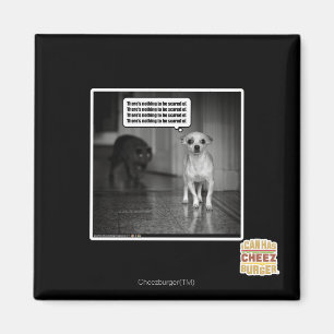 Es gibt nichts, wovor man sich fürchten müsste magnet