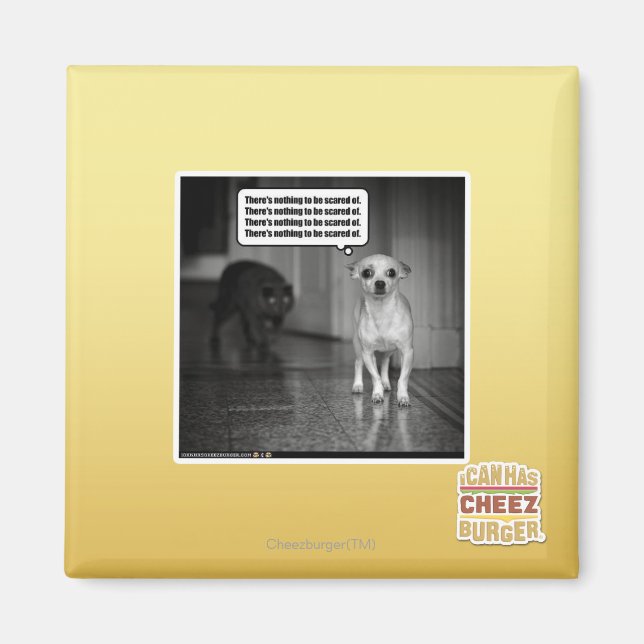 Es gibt nichts, wovor man sich fürchten müsste magnet (Vorne)