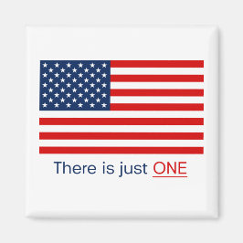 Es gibt nur eine amerikanische Flagge. Magnet