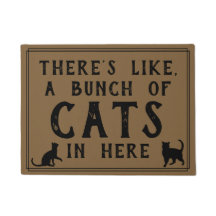 Es gibt so viele Katzen hier drin | Funny Cat