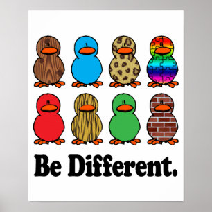 Es gibt verschiedene Enten Poster