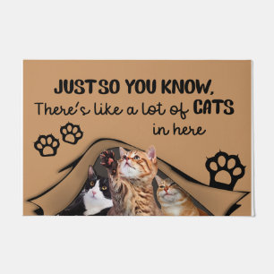 Es gibt viele Katzen hier drin, Innenmatte Fußmatte