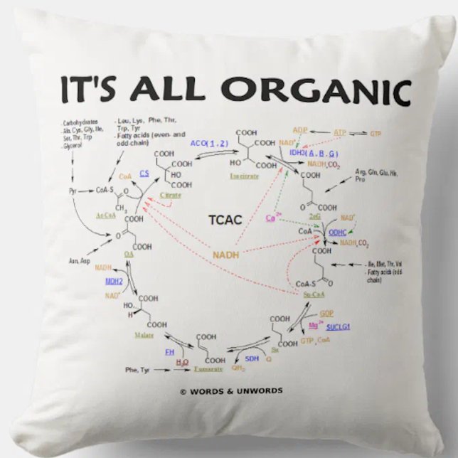 Es ist alles Bio Krebs Zykluszähigkeit Zyklus Kissen (O-Chem attitude throw pillow with the Krebs cycle (ctiric acid cycle, tricarboxlylic acid cycle))