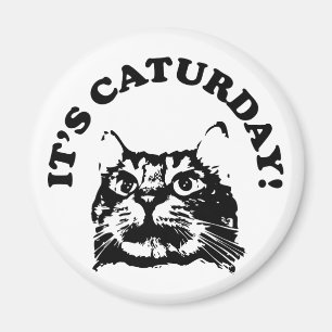 Es ist Caturday Magnet