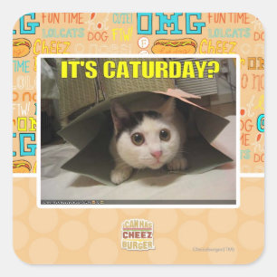 Es ist Caturday? Quadratischer Aufkleber