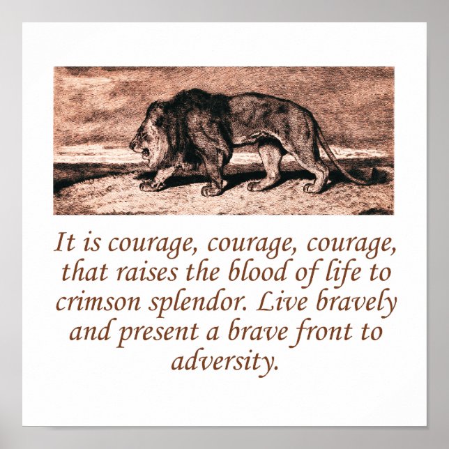 Es ist Courage Courage Poster (Vorne)