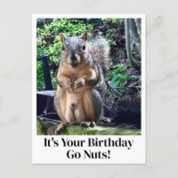 Es ist dein Geburtstag, werd verrückt! Lustiger Ei