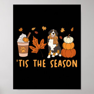 Es ist die Jahreszeit Berner Sennenhund Herbst Kür Poster