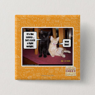 Es ist die Katzenminze Button