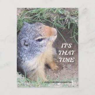 Es ist dieses mal Groundhogs Tageinladung Einladung