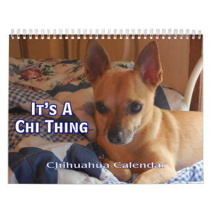 Es ist ein Chi-Sache-Chihuahua-Kalender Kalender