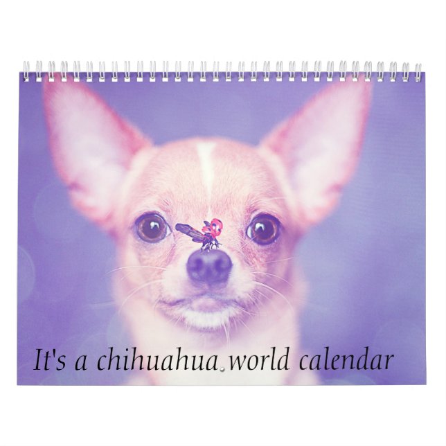 Es ist ein Chihuahua-Weltkalender Kalender (Titelbild)