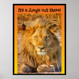 Es ist ein Dschungel da draußen! Poster