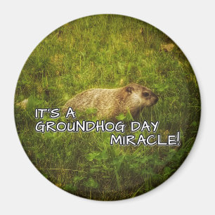 Es ist ein groundhog Tageswundermagnet Magnet