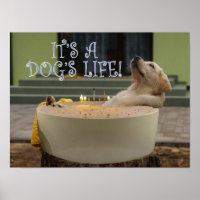 Es ist ein Hunde-Lebensplakat