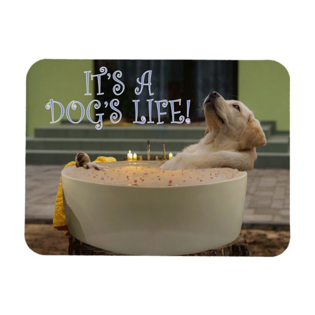 Es ist ein Hundelebensmagnet Magnet (Horizontal)