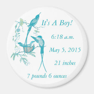 Es ist ein Junge! Aqua Vintage Vogel Mama Papa Bab Magnet