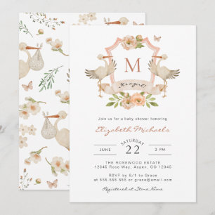 Es ist ein Mädchen! Babyparty Einladung