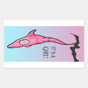 Es ist ein Mädchen! (Delfincoon) Rechteckiger Aufkleber