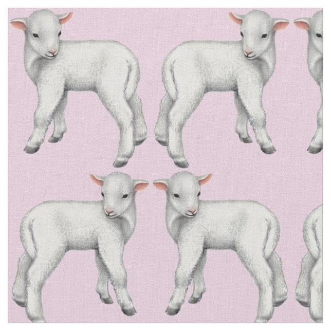 Es ist ein Mädchen-kleines Baby-Lamm-Gewebe Stoff (Nahaufnahme)