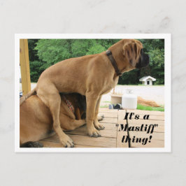 Es ist ein "Mastiff" Ding! alberne englische Masti Postkarte