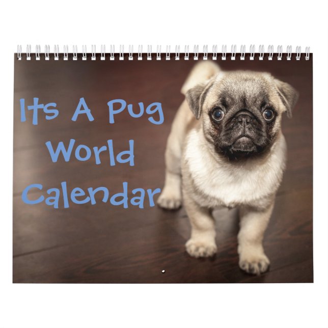 Es ist ein Mops-Kalender Kalender (Titelbild)