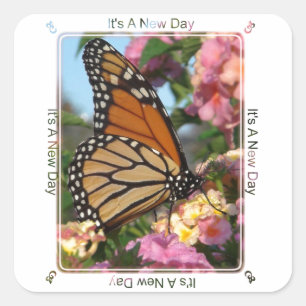Es ist ein neuer Tag (Monarchschmetterling) Quadratischer Aufkleber