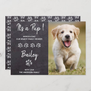 Es ist ein Puppenhund, der ein neues Tier hat Ankündigung