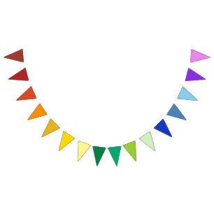 Es ist ein Rainbow-Party, mehrfarbiges Solids-Must Wimpelkette