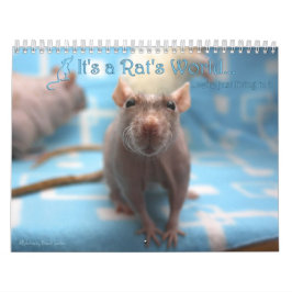 Es ist ein Rat-Weltkalender 2016 Kalender
