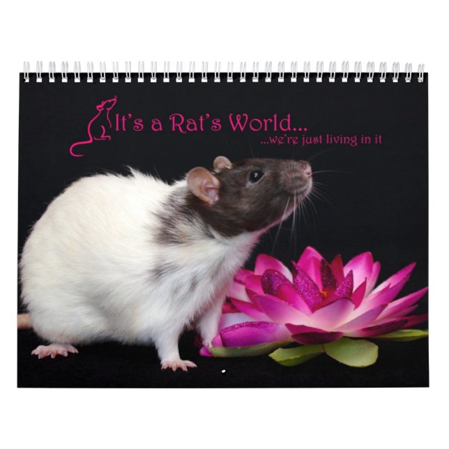 Es ist ein Ratten-Weltkalender 2016 Kalender (Titelbild)