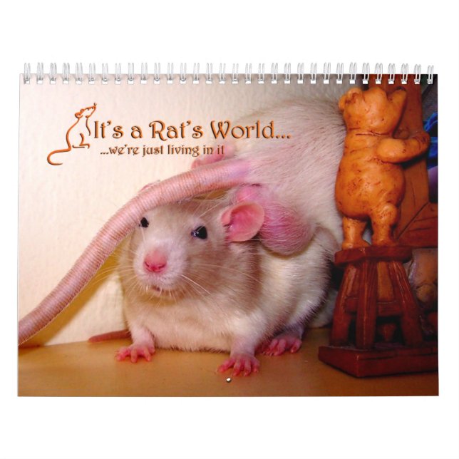Es ist ein Ratten-Weltkalender 2016 Kalender (Titelbild)