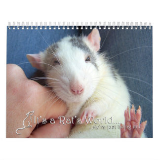 Es ist ein Ratten-Weltkalender 2016 Kalender