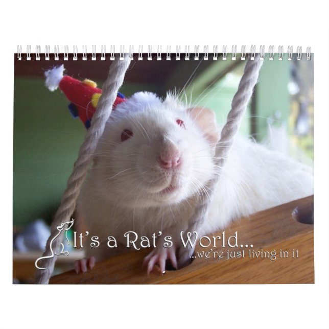 Es ist ein Ratten-Weltkalender 2016 Kalender (Titelbild)