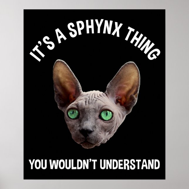 Es ist ein Sphynx-Ding - man würde es nicht verste Poster (Vorne)