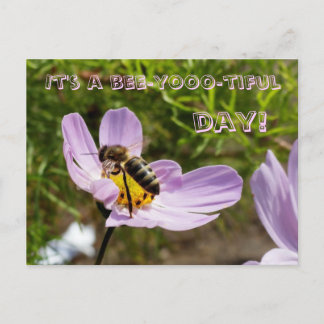 Es ist ein Tag der Biene! / Bee Poscard Postkarte