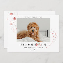 Es ist ein WonderFUR Life Pet Foto Weihnachtsfeier