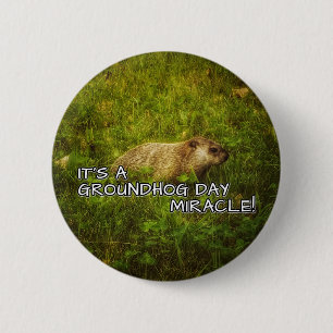 Es ist ein Wunder des Erdschwungs-Tages! Button